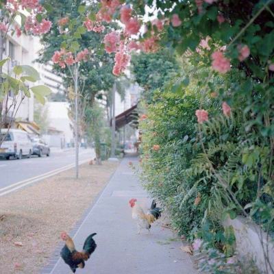 天天中彩票app下载